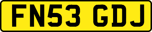 FN53GDJ