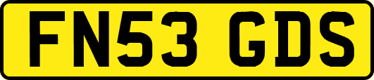 FN53GDS