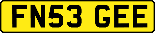 FN53GEE