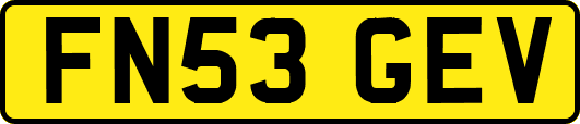 FN53GEV