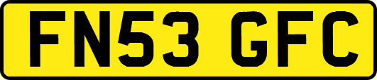 FN53GFC