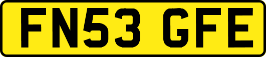 FN53GFE