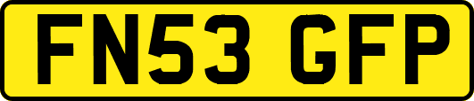 FN53GFP