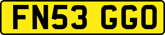 FN53GGO