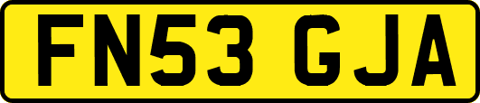 FN53GJA