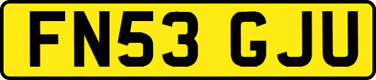 FN53GJU
