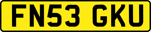 FN53GKU
