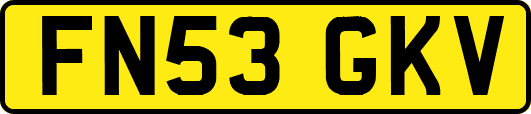 FN53GKV