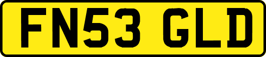 FN53GLD