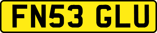 FN53GLU