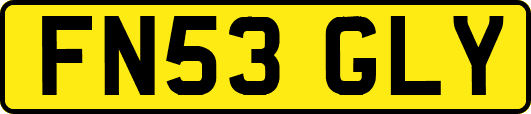 FN53GLY