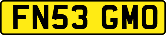 FN53GMO