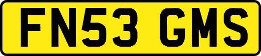 FN53GMS