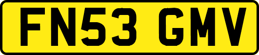 FN53GMV