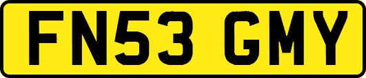 FN53GMY