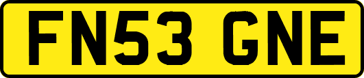 FN53GNE