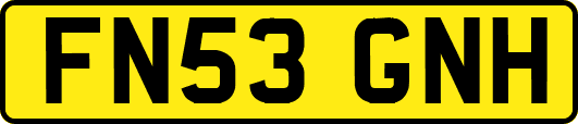FN53GNH