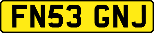 FN53GNJ