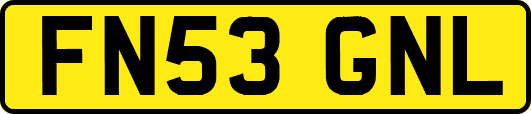 FN53GNL