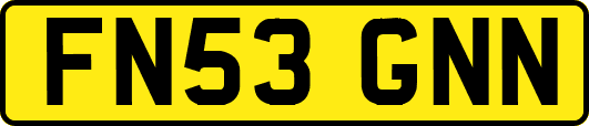FN53GNN
