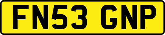 FN53GNP