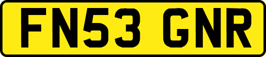 FN53GNR