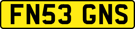 FN53GNS