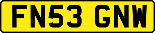 FN53GNW