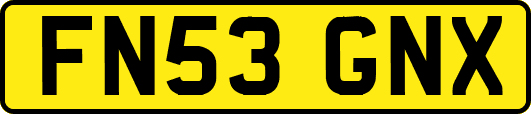 FN53GNX