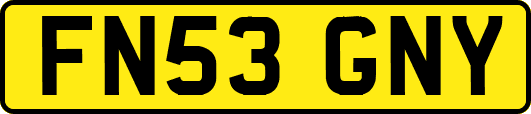 FN53GNY