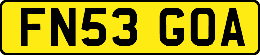 FN53GOA