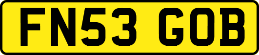 FN53GOB