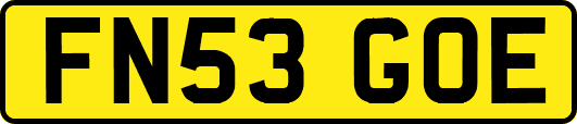 FN53GOE