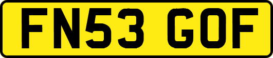 FN53GOF