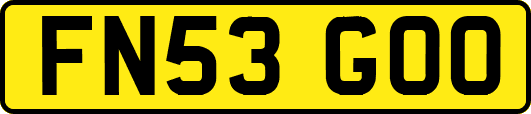 FN53GOO