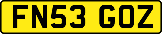 FN53GOZ