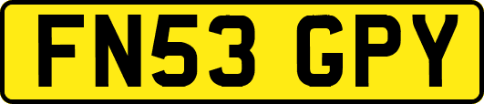 FN53GPY