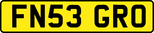 FN53GRO