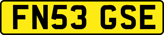 FN53GSE