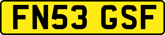 FN53GSF
