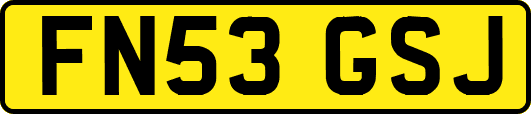FN53GSJ