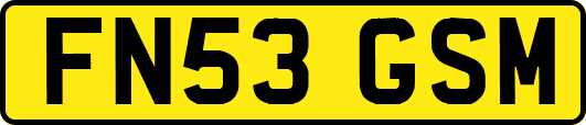 FN53GSM