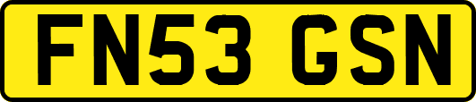 FN53GSN