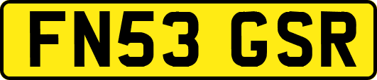 FN53GSR
