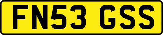 FN53GSS