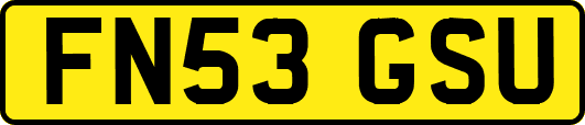 FN53GSU