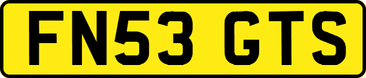 FN53GTS