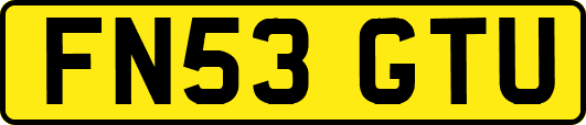 FN53GTU