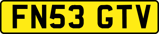 FN53GTV