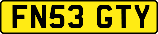 FN53GTY